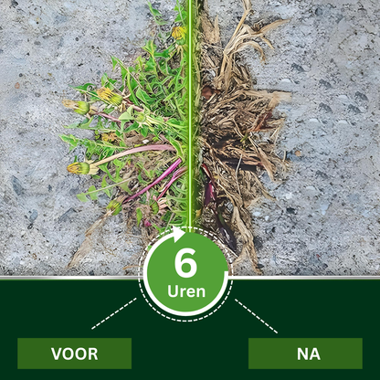 ⚡ 2-in-1 Max Power Herbicide